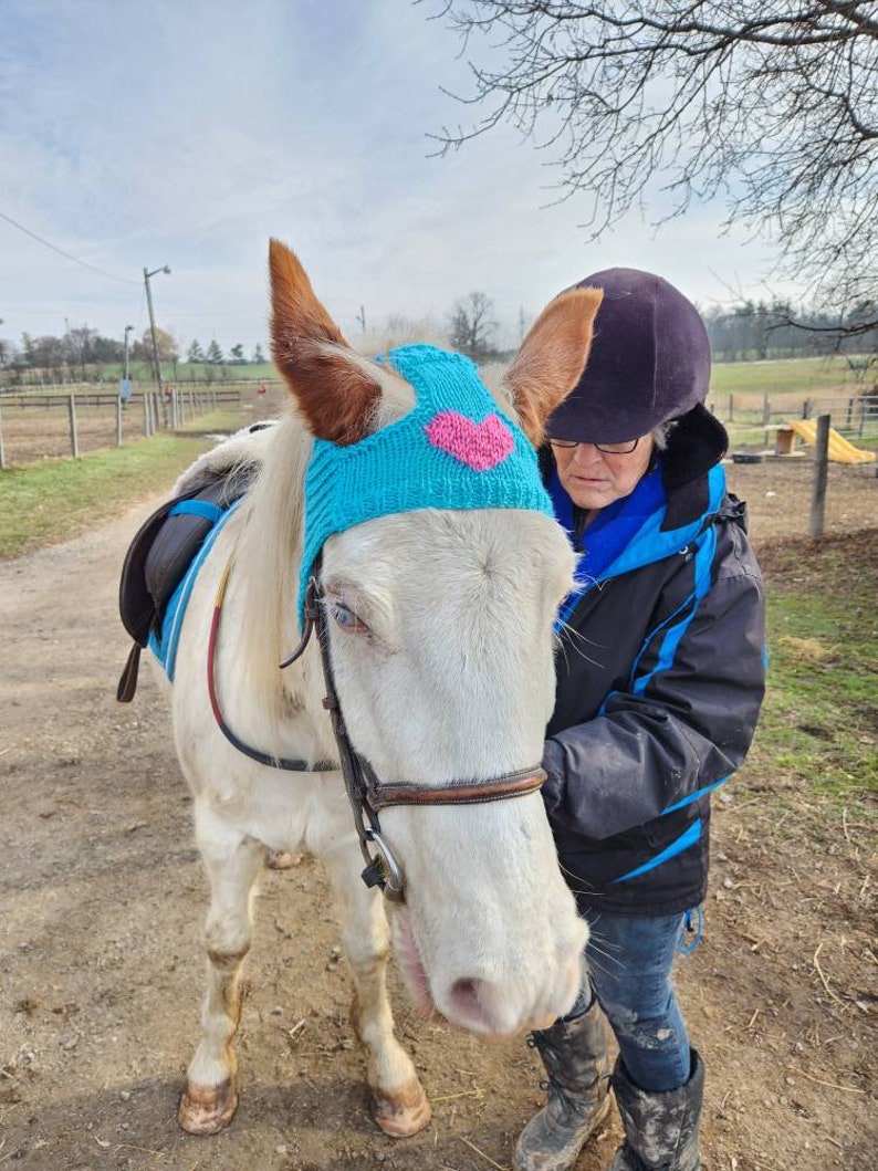 Knit Horse Hat Pattern image 2