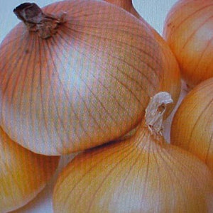 Large Sweet Mild YELLOW Spanish ONION SEEDS