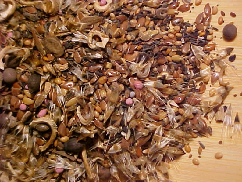 Etsy Perennial wildflower seeds. 22 variety seed mixture. 800 Etsy