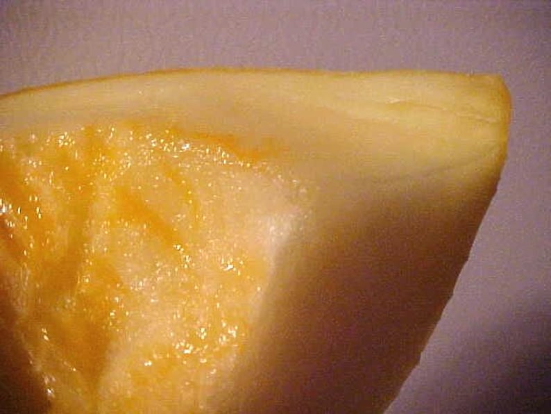 May include: Close-up of a wedge of cantaloupe melon. The flesh is a vibrant orange color, with a juicy, glistening texture. The rind is a pale yellow, and the fruit appears fresh and ripe.