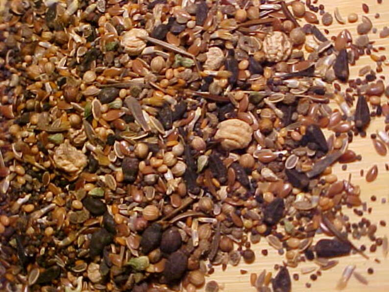 Etsy 1/16 Pound A & P WILDFLOWER SEEDS. 25 Variety Seed Etsy