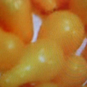 YELLOW PEAR Shape TOMATO  Seeds Medium Size  Very Sweet Flavor.