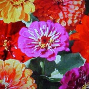 CALIFORNIA GIANT ZINNIA Flower Seeds. Multi-Colors One Of Americans Favorites. Great Vase Flower Yard Garden. See All Pictures On Listing.