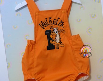 Tigger Pooh Bear Themed First Birthday Cake Smash Romper Outfit Photoshoot Idea, Orange Bouncy Tiger