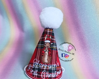 Peter Rabbit 1st Christmas Party Hat - Stewart Tartan First Christmas Milestone Marker New Year Photo Prop - Matching Romper and Hat option