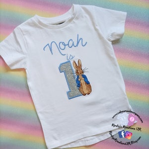 Peter Rabbit Birthday T-Shirt Embroidered Shirt with Birthday Number 1st/2nd/3rd/4th Birthday Personalised Birthday Shirt Cake Smash UK prop