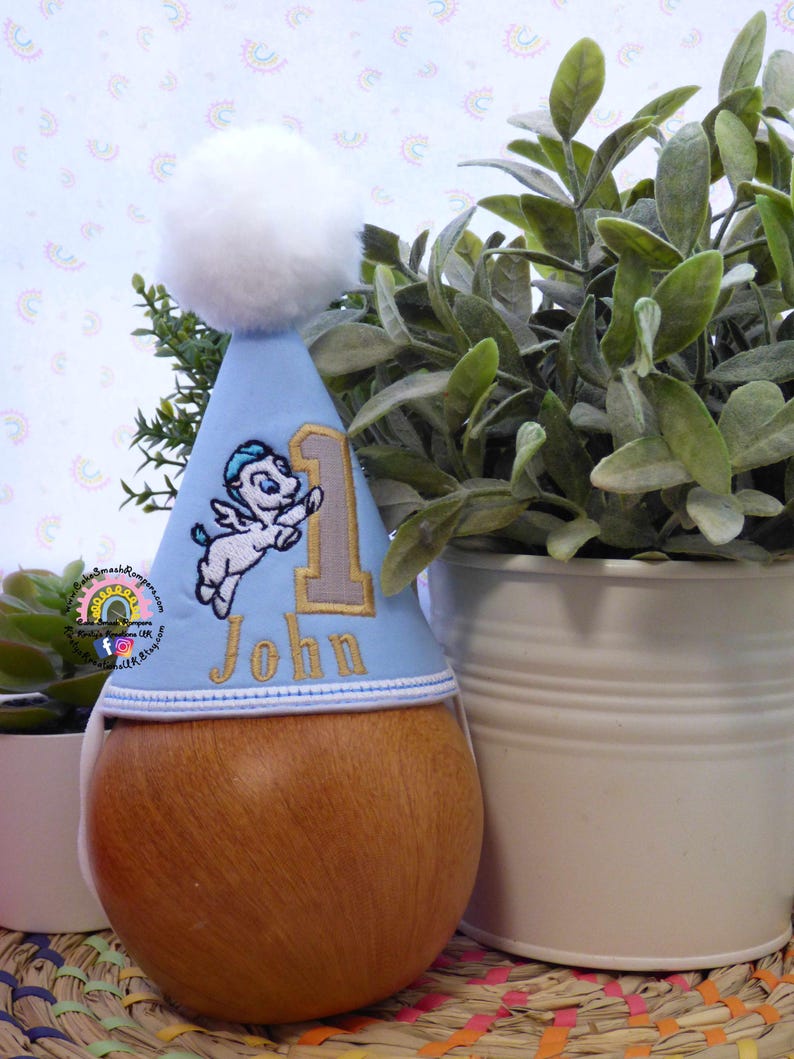 May include: A light blue birthday party hat with a white pom-pom, featuring an embroidered cartoon Pegasus and the name "John" with the number "1". The hat is placed on a wooden object, with greenery in the background.