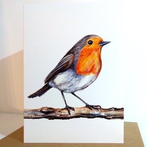 Cartão de felicitações Robin, cartão de arte, belas artes, da pintura em aquarela original de Sarah Featherstone, British Birds, Wild Art Gallery UK