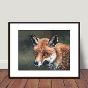 Fox Limited Edition Print 10x8 with mount 14x11 by Sarah Featherstone, Wildlife, Collectable, Animal, Farm