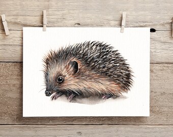Hedgehog Print, Hedgehog Watercolour Painting, A5, Cute, Picture, Wildlife, British, Animal, By Artist Sarah Featherstone, Wild Art Gallery