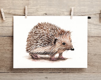 Hedgehog Watercolour, Hedgehog Picture, Hedgehog Art, Hedgehog Gift, A5 Print, Wild Art Gallery, Cute, Wildlife, British, Animal