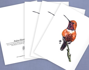 Rufous Hummingbird - four card set. Part of a series of Alaska Bird-themed greeting cards. Reproduction of my original watercolor.