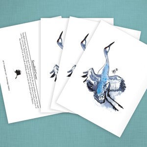 カナダヅル - 4 枚のカード セット。アラスカの鳥をテーマにしたグリーティング カード シリーズの一部。私のオリジナルの水彩画の複製。