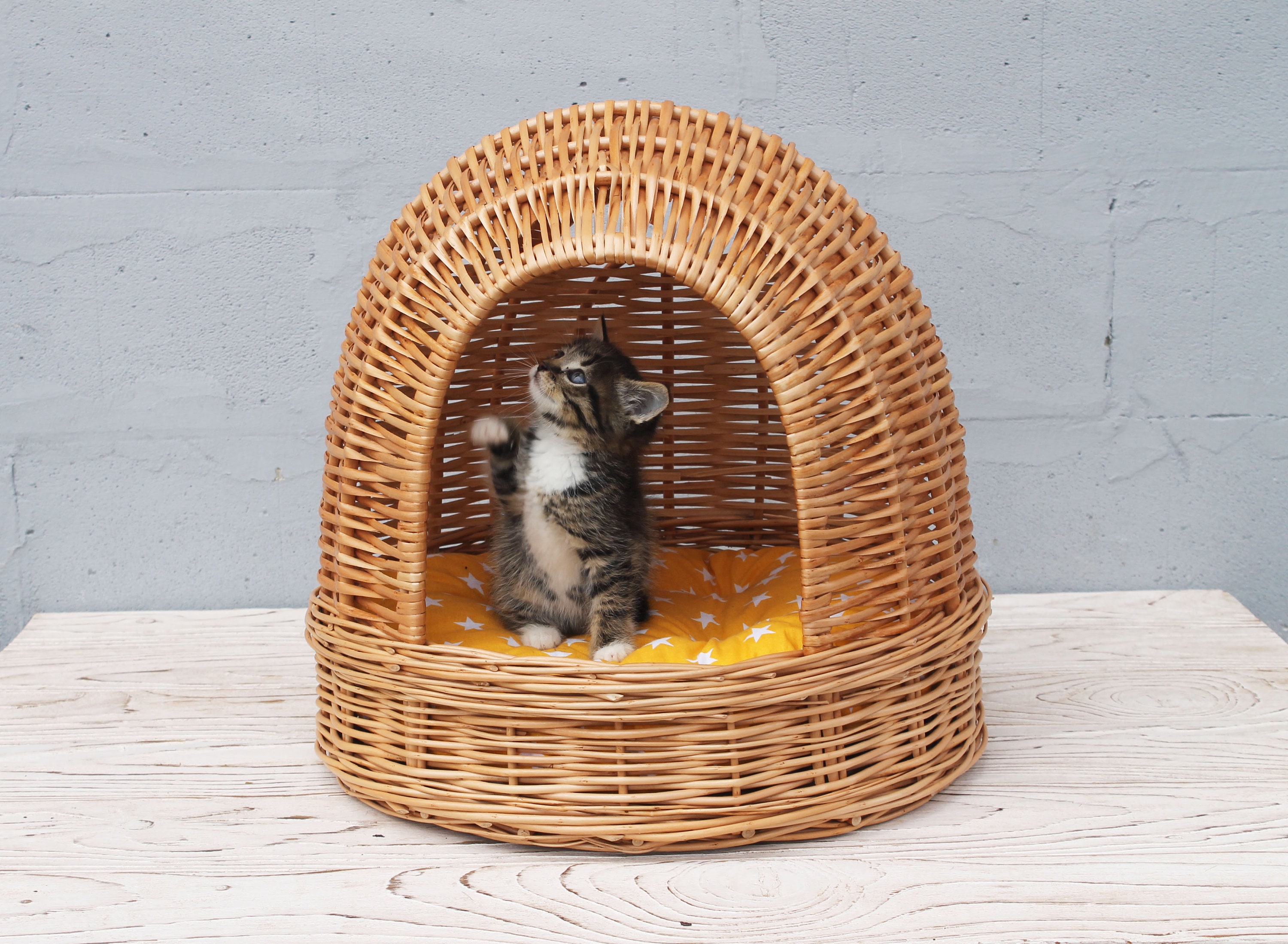 Wicker cat basket bed Etsy