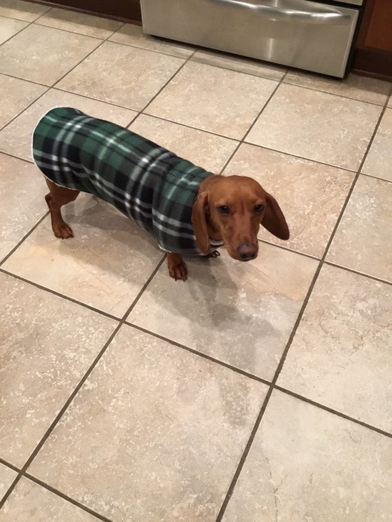miniature dachshund fleece coats