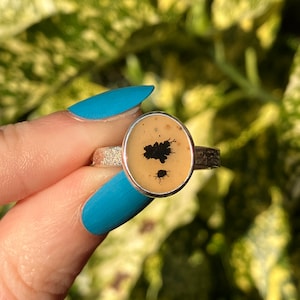 Pode incluir: Um anel de prata com uma pedra oval que apresenta um padrão dendrítico de ágata preto e marrom.