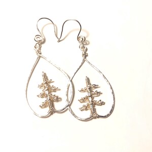 Teardrop Form Wire Wrap Pine Baum Ohrringe Silber