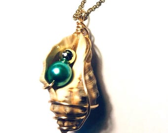 Conch Seashell Pendant Gold Wire Wrapped with Gold Bead and Green Pearl