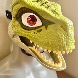 Masque pour les yeux de raptor