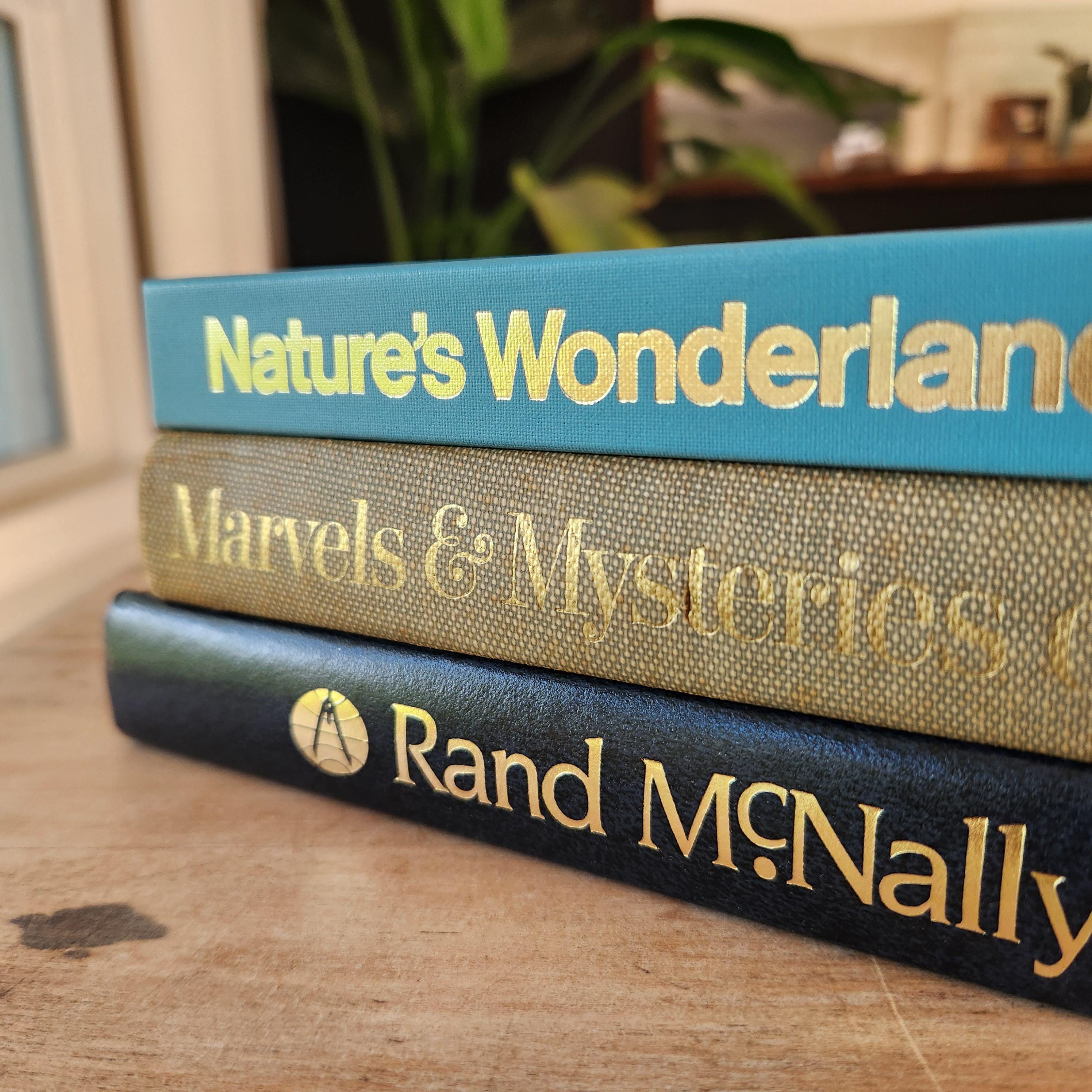 Blue and Gold Decorative Books - Etsy