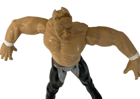 WWE トリプルH プロレス フィギュア WWE トリプル H アクションフィギュア ヘアピース ジャックス 欠品