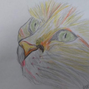 Green Eyed Ginger Cat Sketch