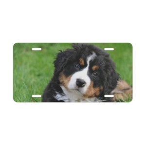 Custom Photo Car Vanity Plate, Custom Photo Front Car Tag, Personalized Gift