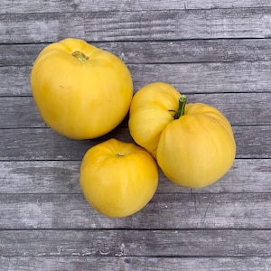 Beefsteak Tomato Seeds - White Tomato Seeds - Heart Tomato Seeds - Tomato Seeds