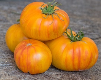 Tomate Orange Zebra Seeds - Tomate Seeds - Semences de Légumes - Héritage - Petergraines - Garden Seeds