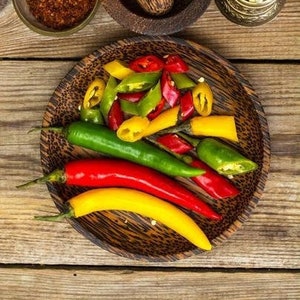 Hot Chili Pepper Westland Seeds - Biologisch geteeld - Zeldzaam Heirloom - Fresh Heirloom - Groentezaden – Hoge kieming