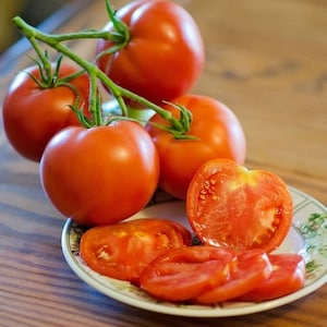 Semillas de árbol de tomate - Zifomandra Semillas - Semillas de tomate - Semillas de hortalizas - Semillas raras