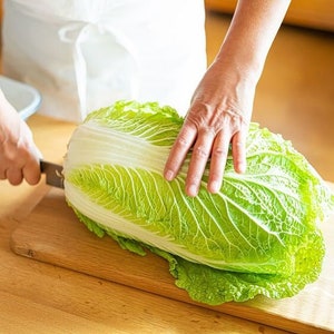 Semillas Repollo chino Bokal - Brassica rapa - Repollo pekinensis - Repollo chinensis - Semillas de reliquia