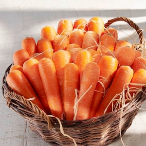 Carrot Krasavka Seeds – Heirloom -  Vegetable Seeds – Garden Seeds - Organic Seeds