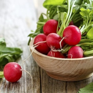 Seeds Radis Buttery giant  - Open Pollinated- Vegetable Heirloom Organic - Non GMO seed - Rare seeds - Garden Seeds