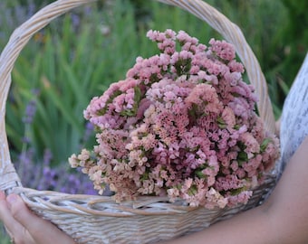 Semi Statice Color Pastello - Miscuglio Di 100 Semi Per Fiori Secchi - Foto 7