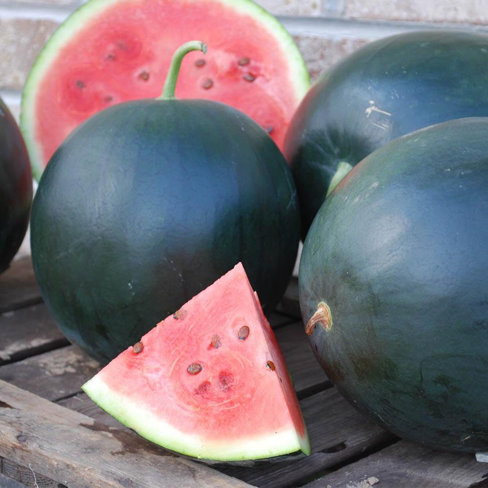 Black Watermelon Seeds Heirloom Fruit Seeds Vegetable Etsy Canada