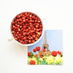 Strawberry Seeds- Sweet Red Strawberry - Strawberry Renaissance - Heirloom – Garden Seeds - NON GMO