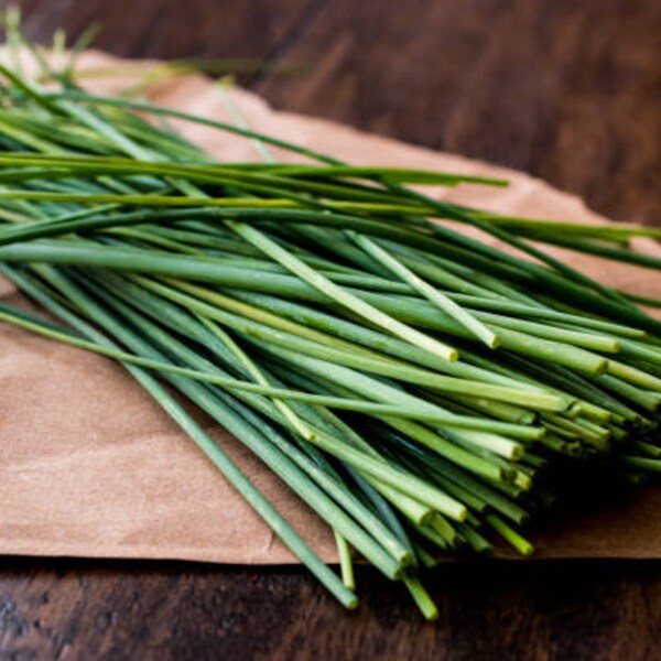 Scallion seeds -  Chive Seeds - Green Onion seeds -  Salad Onion Seeds - Spring Onion Seeds –– Herb Seeds