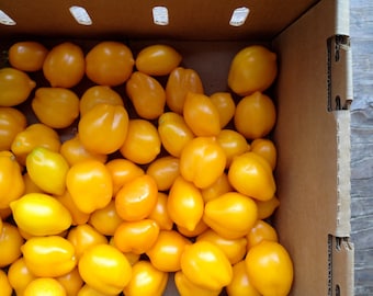 Yellow Tomato Lemon Liana -  Heirloom -  Vegetable Seeds