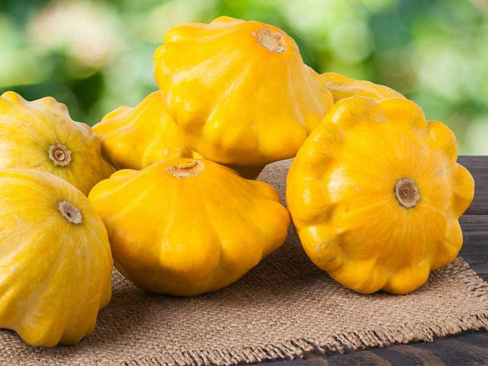 Orange Squash Seeds Heirloom Vegetable Seeds NON GMO Etsy