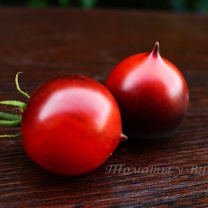 Semillas de tomate chocolate - Semillas jugosas - Semillas de hortalizas - Reliquia - Semillas de tomate raras