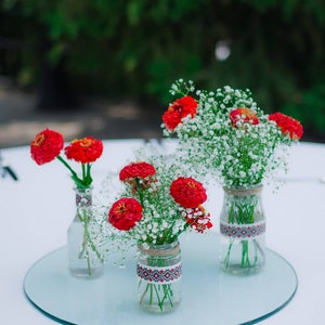 Red Zinnia Seeds - Dwarf Zinnia Seeds - Graines de fleurs - Graines de fleurs annuelles - Graines de jardin