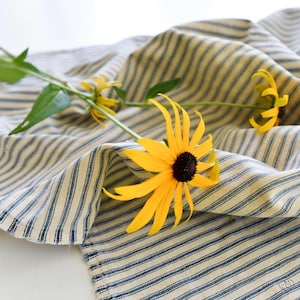 Rudbeckia Seeds – Black-Eyed Susan – Perennial  – Flower Seed – Garden Seeds