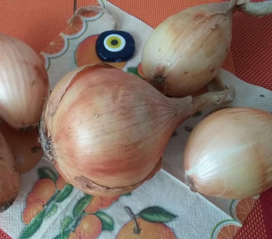 Kelsae Sweet Giant Onion Sets