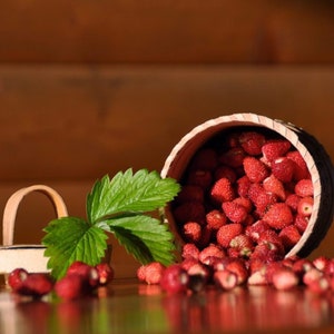 Alpine Strawberry Bowlenzauber Seeds Perennial Sweet Fruit Fragaria Bonsai