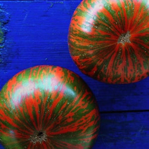 Tomato Chocolate Stripes Slicing Seeds – Tomato Seeds – Heirloom – Vegetable Seeds