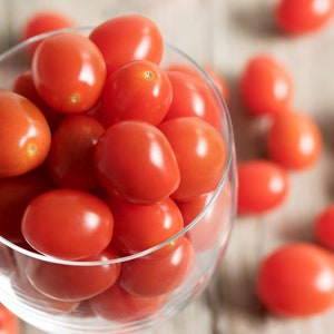 Cherry Tomato Prince Bourgeois Seeds – Süßkirschtomate - Terrassentomaten - Erbstück - Gemüsesamen - NICHT GVO