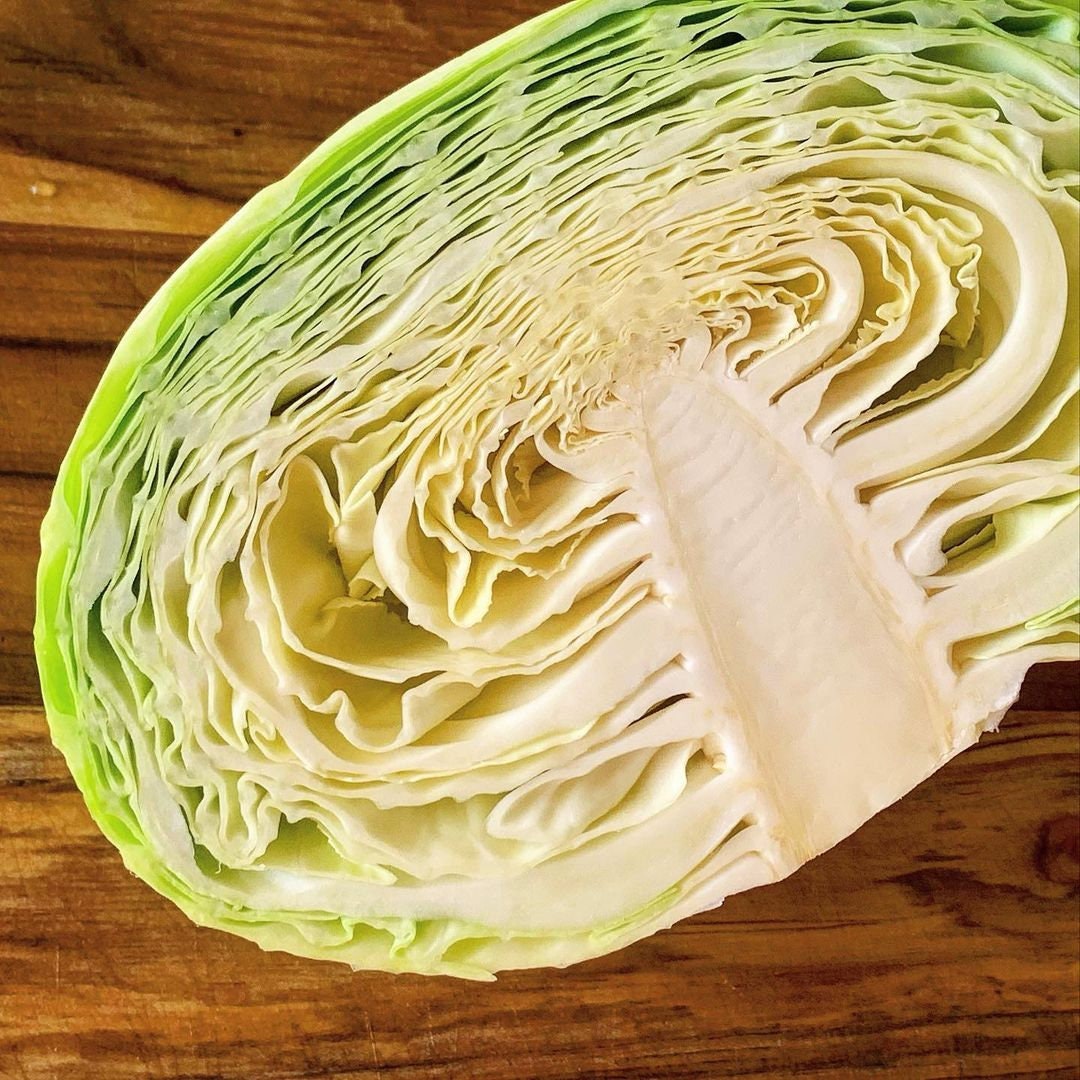 Danish Ballhead Cabbage Seeds Cabbage Ukrainian Autumn Seeds Etsy Canada