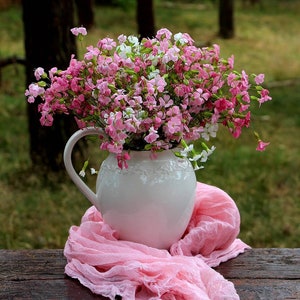 Stein-Seifenkraut - Blumensamen - Tumbling Ted - Saponaria ocymoides - Mehrjährige Blume