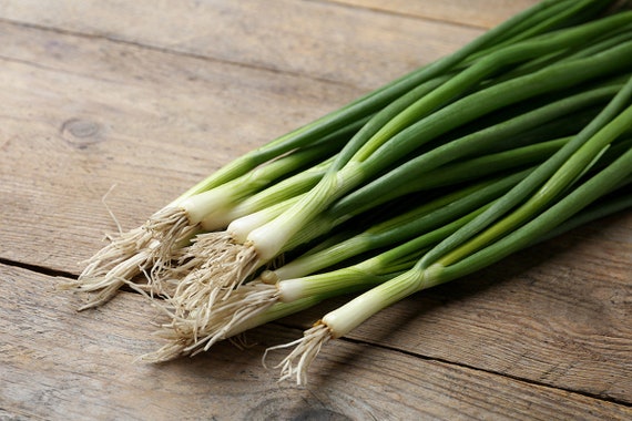 500 seeds Salad onions Vegetable Seed Onion Salad Onion Eiffel Approx 500 seeds Salad onions Vegetable Seed Onion Salad Onion Eiffel Approx